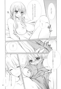 (C81) [9z] Ovelia-sama ga Suki Sugite Shikatanai Hito no Hon. (Final Fantasy Tactics)