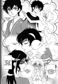 [Sesamin] an (Princess Tutu) [English] [Tigoris Translates]