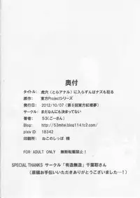 [Mada Nan'nimo Kimatte nai (53)] Tora Anal ni Irazunba Naz mo Yaru (Touhou Project)