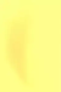 (HaruCC18) [Arabic Yamato (Asaisai)] Fushimi-san ga Futari ni Natte Misaki wo Semeru Hon (K)