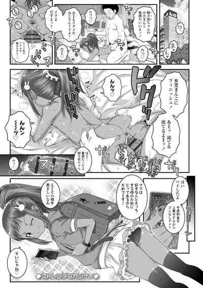 Soutaisei Virgin Theory