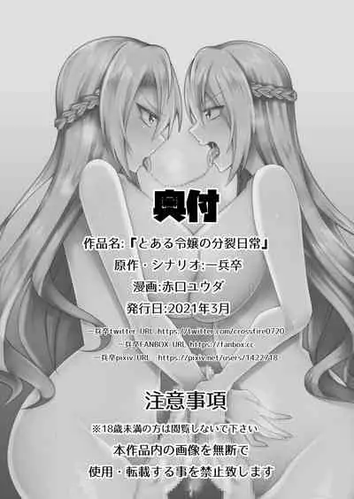 To Aru Reijou No Bunretsu Nichijou