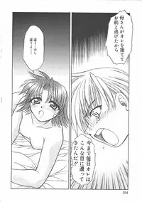 [Shizaki Masayuki] Abyssinian