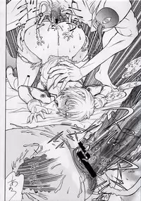 [From Japan] Seiekinaki Jukujuku Kaikaku III (Shin Seiki Evangelion / Neon Genesis Evangelion) (C74)