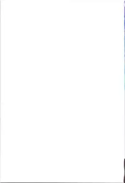 Me Ga Sametara kemomimishoujo ni natteita ohanashi