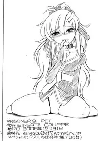 (C71) [EINSATZ GRUPPE (Charlie Nishinaka)] PRISONER 9 Pet (Gundam SEED Destiny) [English] [YQII]
