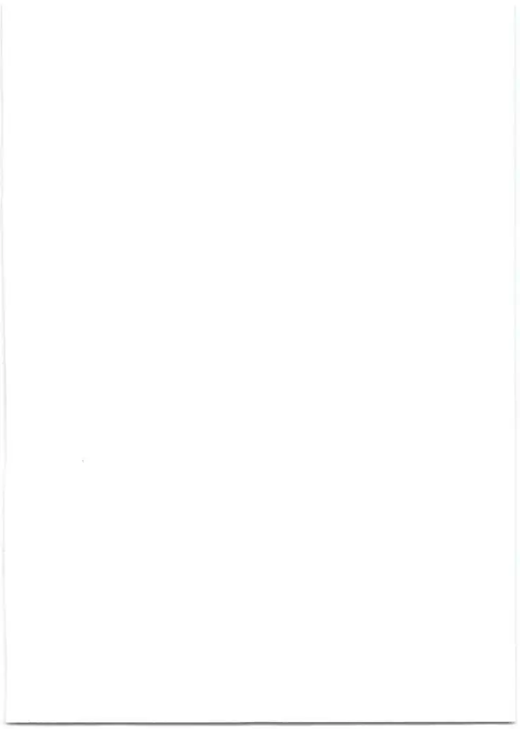 Bradamante Sperm Brothers