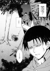 (C85) [RIX (Mamiya)] Ten ni Habataku Sono Hi Made (Shingeki no Kyojin)