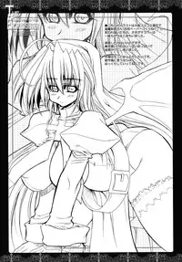 (C74) [Kikyakudou (Karateka-VALUE)] THE EXORZCISISTER (Arcana Heart)