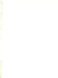 (SC61) [Tamatochi (Tamachi)] Usamimi Enshuu