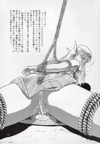 (C37) [Waku Waku Doubutsuen (Tennouji Kitsune)] Elf no Musume - Die Elfische Tochter (Record of Lodoss War)