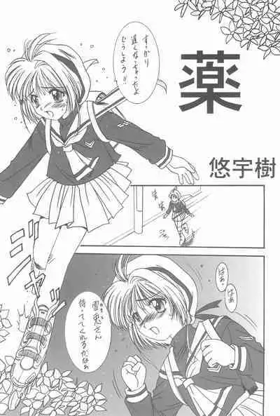 (C53) [Momoiro Settoudan (Fujioka Tamae, Yuuki)] Momoiro Settoudan Vol. 2 (Cardcaptor Sakura)