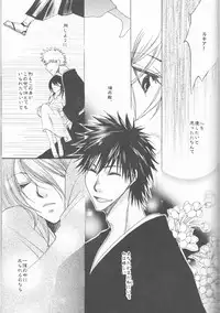 (C73) [Utsumuki Garden (Aotsuki Kakka)] Sputnik (Bleach)