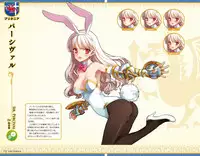 Eiyuu*Senki GOLD Visual Fanbook