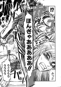 Comic Hime Dorobou 2006-11