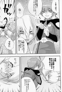 (C65) [accede@rabbit (Patriciana Kikuchi)] in WHITE (Gundam SEED)