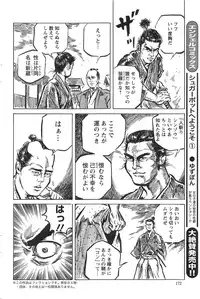 Action Pizazz HB 2013-10