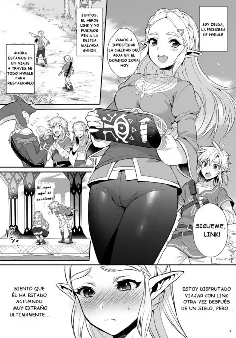 Hyrule Hanei no Tame no Katsudou! | ¡Actividades para el futuro de Hyrule!