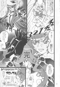 (C79) [20R0 (Various)] Sange Ichirin (HeartCatch Precure!)