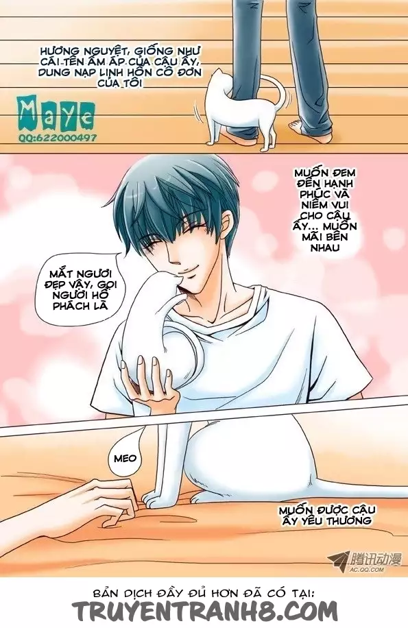 Tình Yêu Tuyệt Vời