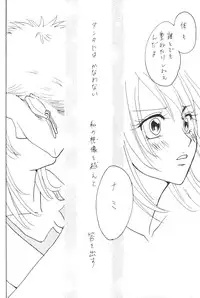 [Bee & Watermelon] Yume Ichiya 2 (One Piece)