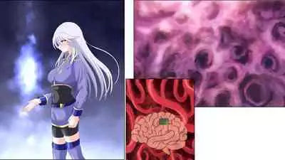 Brain Hack Fuhai Kokka ni Aragau Kakumeika no Matsuro