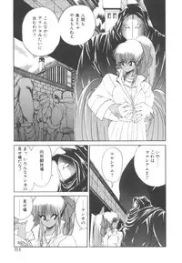 [Makoto Fujisaki] Dark Wirbel Vol 2