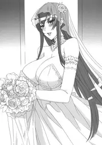 (C79) [MAIDOLL (Fei)] Saeko wa Ore no Yome (Highschool of the Dead)