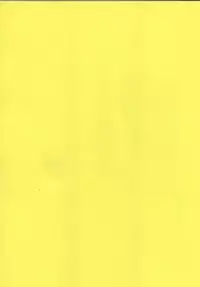 (C66) [Piggstar (Nagoya Shachihachi)] Hagane Gohatto (Fullmetal Alchemist)