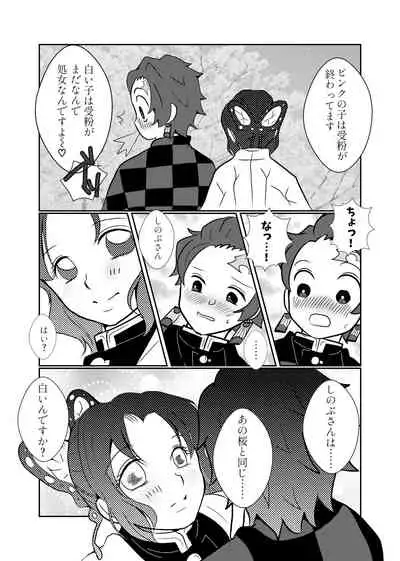 [Hikaru] Sumi Shino ♡♡ Sakura Neta ♡♡