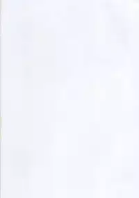 (C88) [PNO Group (Hase Yuu)] Ilya Bunhokan Keikaku Bangaihen Ilya x3 (Fate/kaleid liner Prisma Illya)