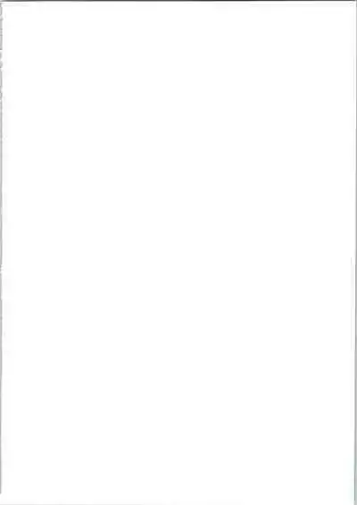 (C50) [NAS-ON-CH, St. Different (Various)] Druggers High!! IV (Escaflowne, Magic Knight Rayearth, Mahou Tsukai Tai!)