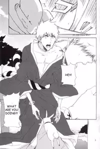 (Bleach Spark) [Gyoukou (Rioka Masaki)] Souryuu Yuugi | Play of the Twin Dragons (Bleach) [English] [Anki-Chan]