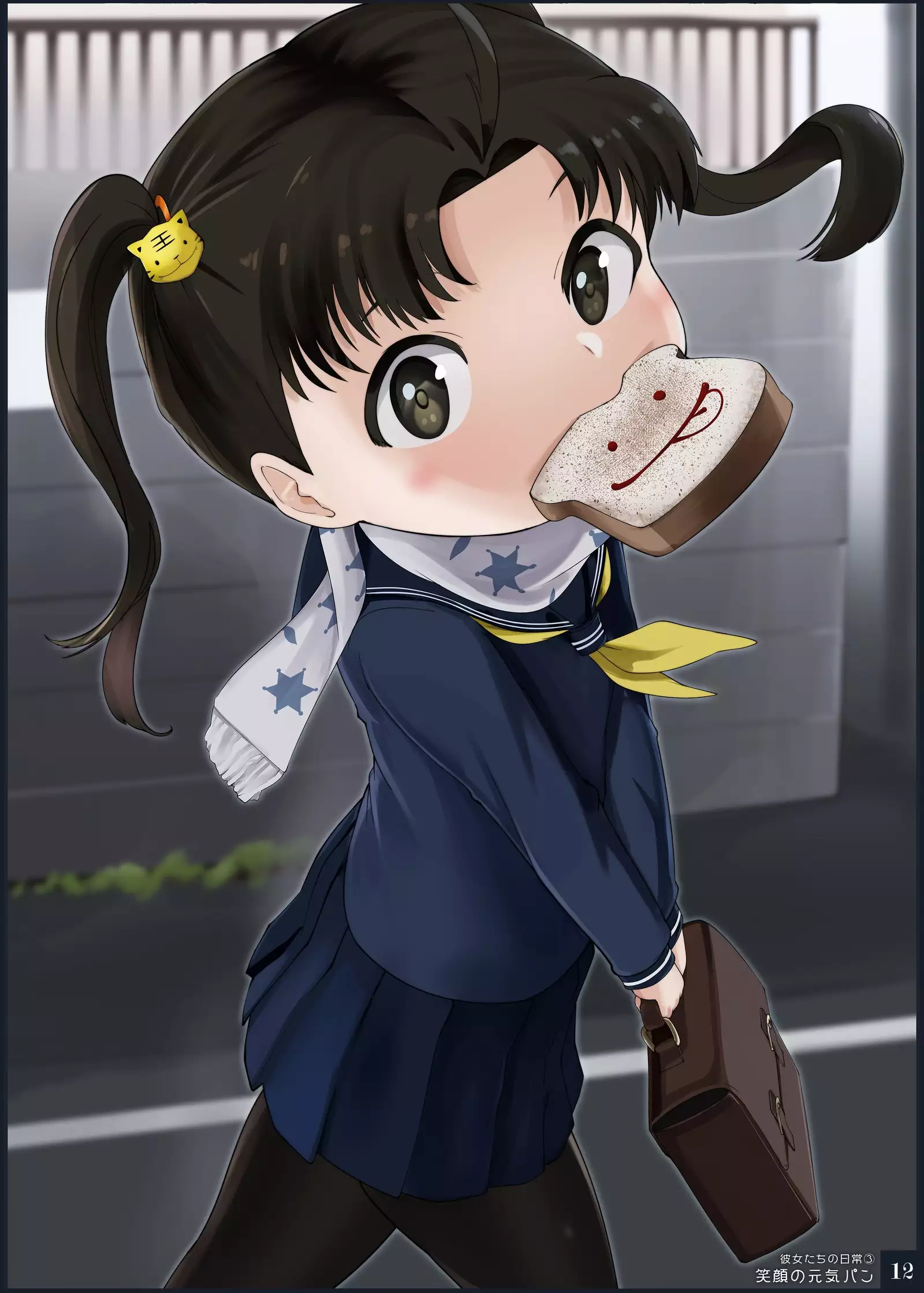 Mahou Shoujo Western Girls Premium Illust Shuu