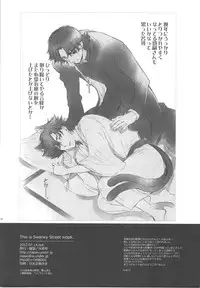 [Rapan (Himuro Shizuku)] This is Swanky Street Side K (Fate)