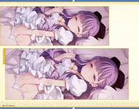 Eiyuu*Senki GOLD Visual Fanbook