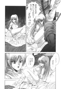 [Makoto Fujisaki] Dark Wirbel Vol 2