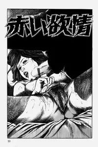 [Misawa Shin] Hitozuma Kinshin Soukan