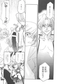 [Hayashiya Shizuru] ULTRA SWORD