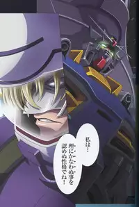 (C75) [HenReiKai (Kawarajima Koh)] SEED ANOTHER CENTURY D.E 7 (Gundam SEED)