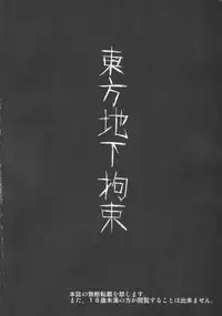 (C79) [Taishou Romanesuku (Tsukisiro Suika)] Touhou Chika Kousoku (Touhou Project)