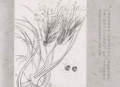 史上名妓 同命相怜-素素与秀玉(张子明 2013年10月)