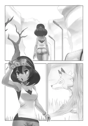 A Wildlife Study of Poni Canyon