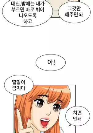 Chauffeur Service Ch.1-30.5