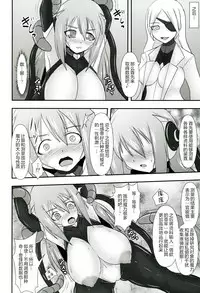 Shield Knight Elsain Vol.11 "NETHER LABORATORY"