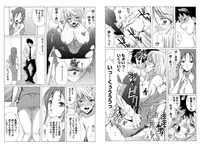 [House of Needle] Dorei Joushi [Digital]