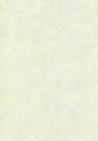 (C78) [Albatross (Nikusyo, Mei)] Idol Misuchi Ikimasu!! (Touhou Project) [English] [desudesu]