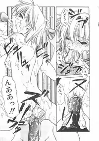 [Shizaki Masayuki] Abyssinian