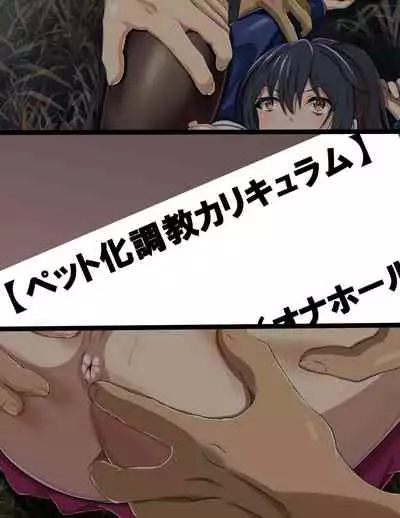 Curriculum for complete enslavement of student body president