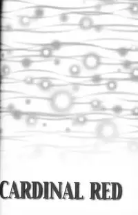 (C59) [K. Haruka Company, Chew (K. Haruka, Sakura Makoto)] Anklet | Restraint (Final Fantasy VII) [English]